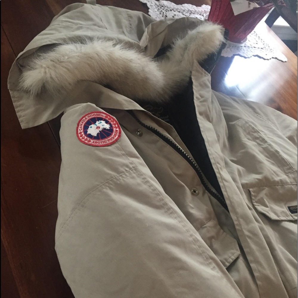 Canada goose